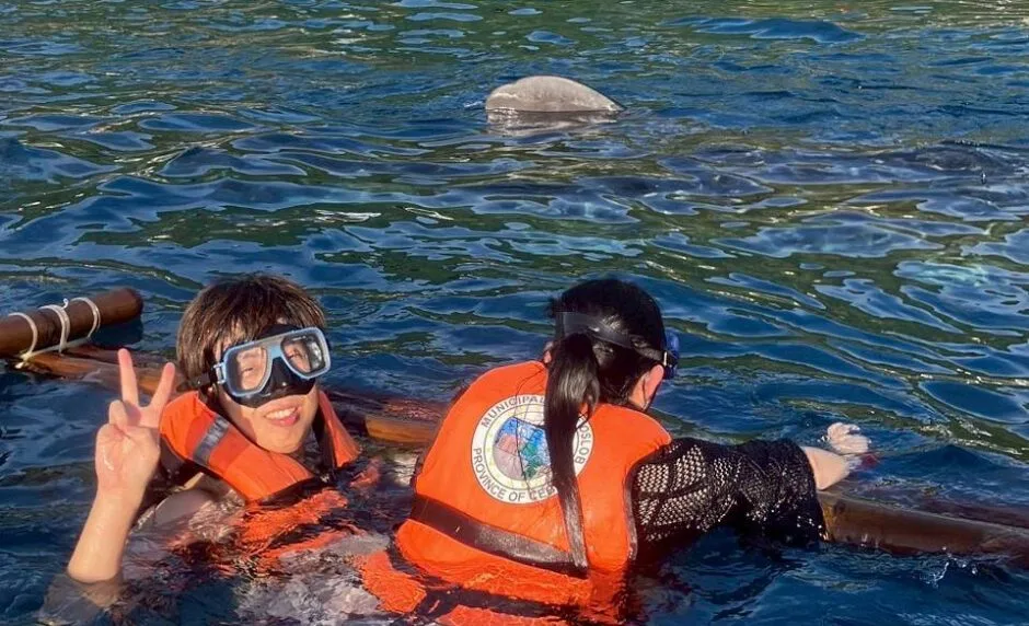 ボランティア体験